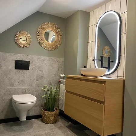 Nad Rzeczka Apartment Godow
